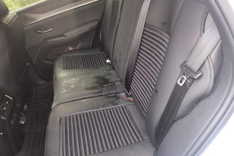 Used BYD Song Pro New Energy 2026 Model DM-i 133KM Progressive Version Left Rear Seat