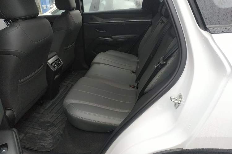 Used BYD Song Pro New Energy 2026 Model DM-i 133KM Superior Version Left Rear Seat