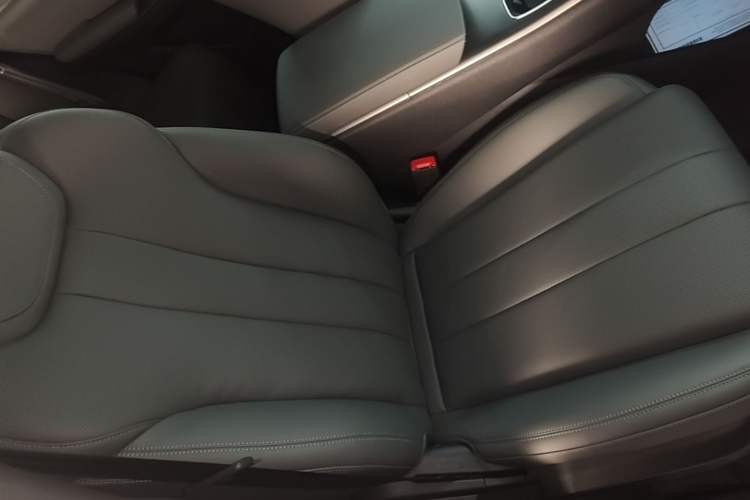 Used BYD Song Pro New Energy 2026 Model DM-i 133KM Progressive Version Right Front Seat