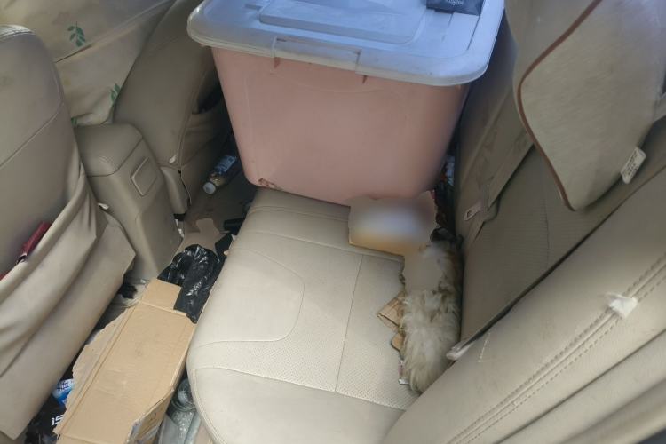 Used BYD Surui 2012 1.5L Manual Comfort Edition Left Rear Seat