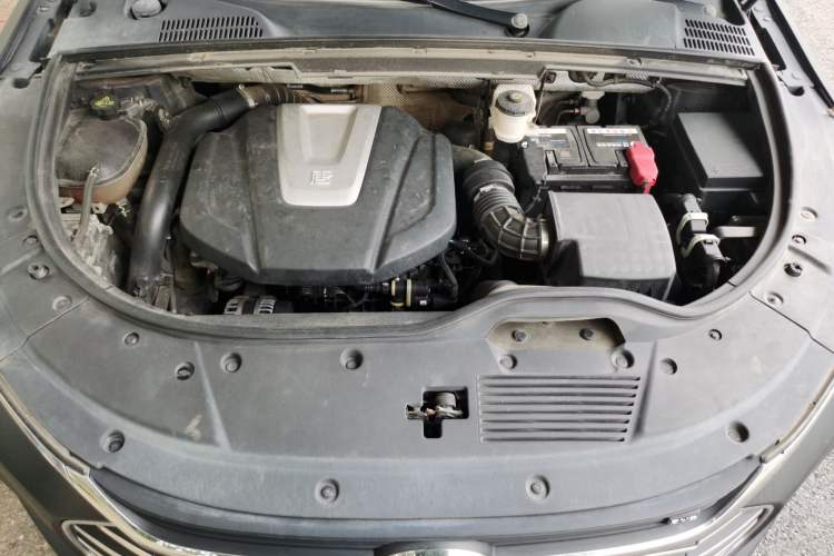 Used BYD Tang 2018 2.0T Automatic SmartConnect Prestige 5-Seater Emission Standard China V Engine Bay
