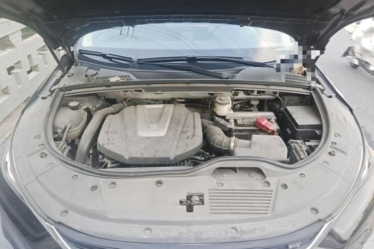 Used BYD Tang 2018 2.0T Automatic SmartConnect Prestige 7-Seater China V Standard Engine Bay