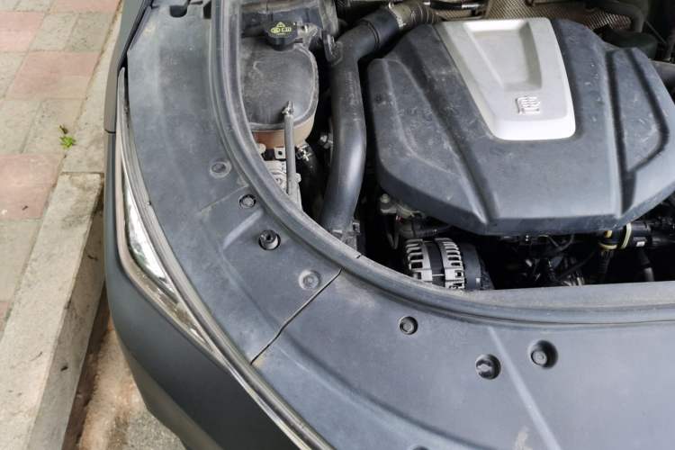 Used BYD Tang 2018 2.0T Automatic SmartConnect Prestige 5-Seater Emission Standard China V Engine Bay Right