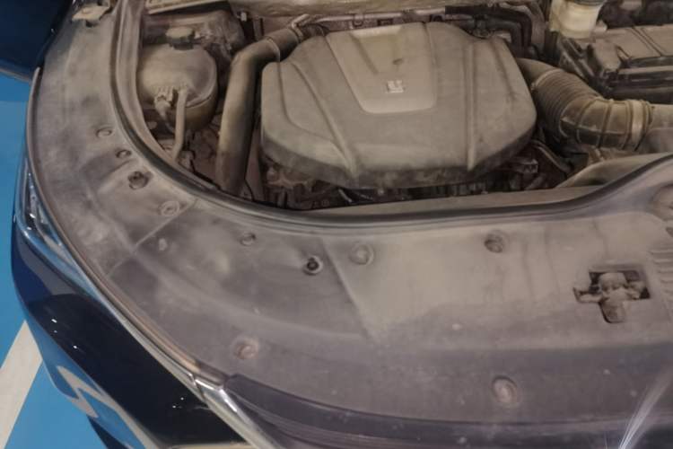 Used BYD Tang 2018 2.0T Automatic Smart Connect Prestige 7-Seater China V Standard Engine Bay Right