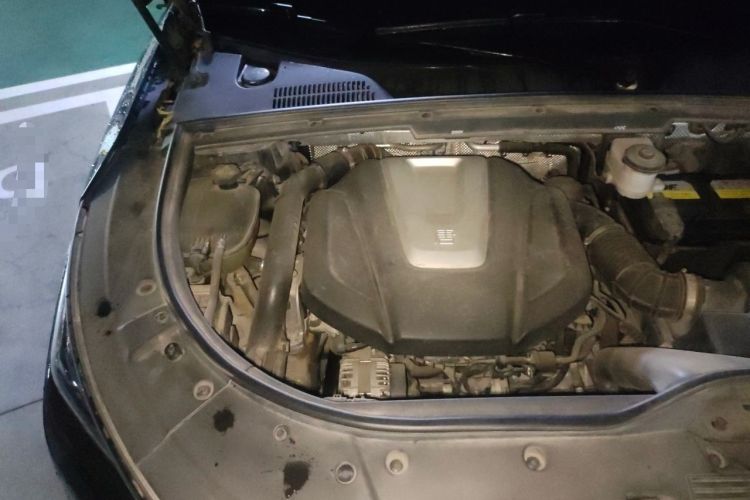 Used BYD Tang 2018 2.0T Automatic Smart Connect Prestige 7-Seater China V Standard Engine Bay Right