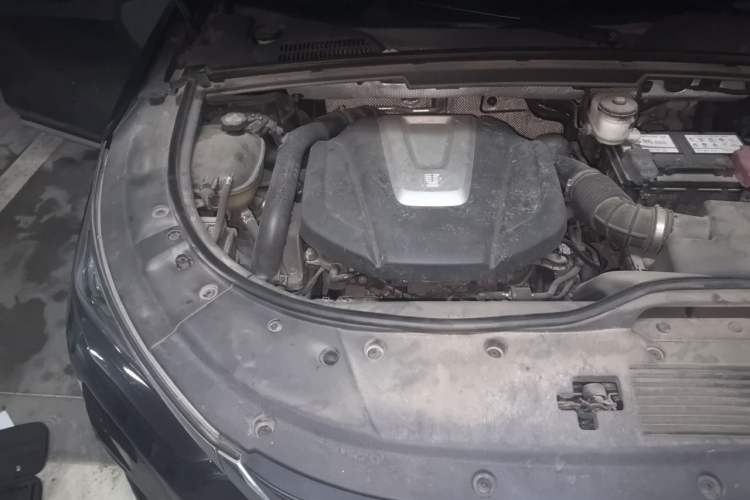 Used BYD Tang 2018 2.0T Automatic SmartConnect Prestige 5-Seater Emission Standard China V Engine Bay Right