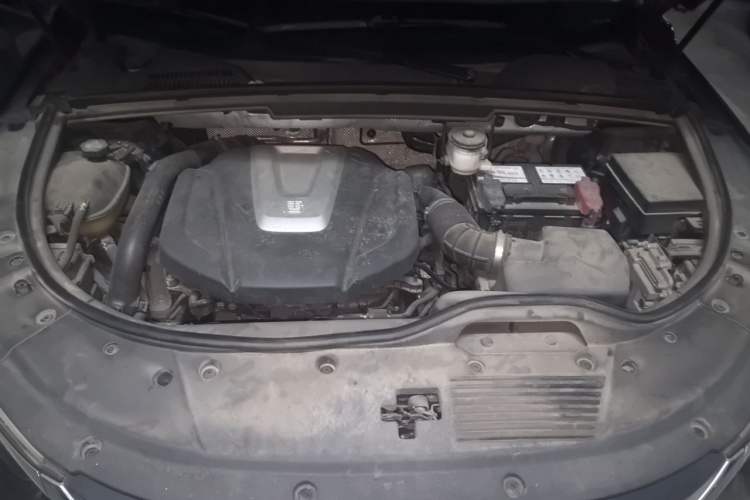 Used BYD Tang 2018 2.0T Automatic SmartConnect Prestige 5-Seater Emission Standard China V Engine Bay