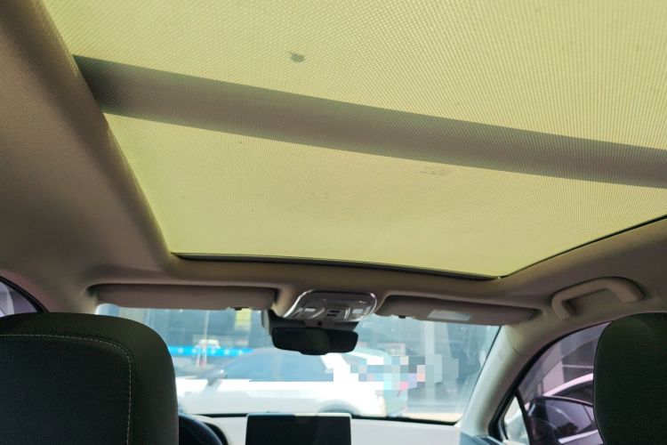 Used BYD Tang 2018 2.0T Automatic SmartConnect Prestige 7-Seater China V Standard Headliner