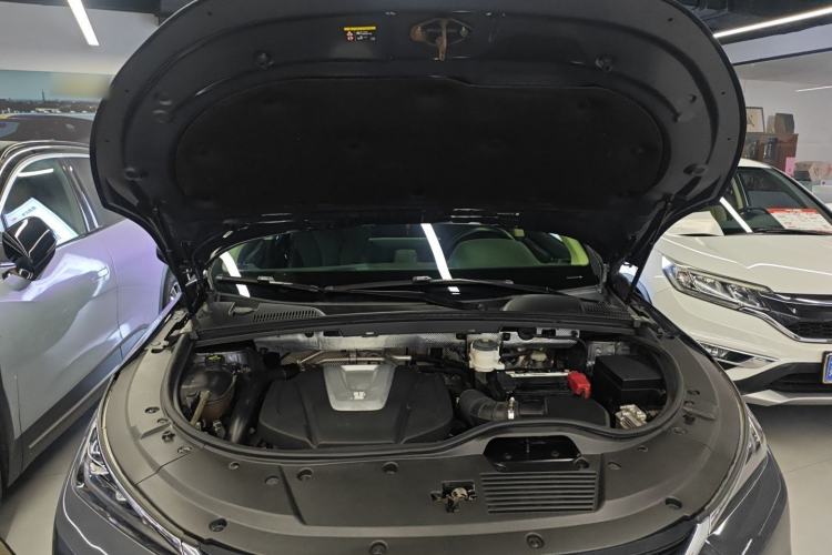Used BYD Tang 2018 2.0T Automatic Smart Connect Prestige 7-Seater China V Standard Engine Bay