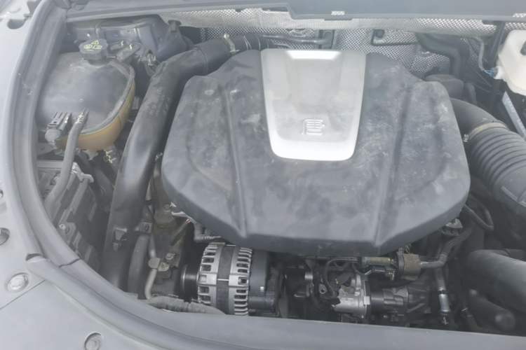 Used BYD Tang 2018 2.0T Automatic SmartConnect Prestige 5-Seater Emission Standard China V Engine Bay Right