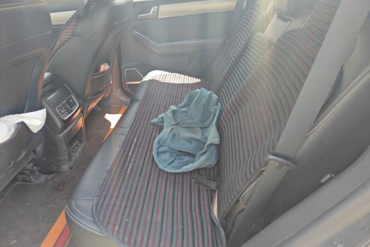 Used BYD Tang 2018 2.0T Automatic SmartConnect Luxury 7-Seater China V Emission Standard Left Rear Seat