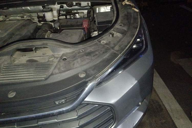 Used BYD Tang 2018 2.0T Automatic Smart Connect Prestige 7-Seater China V Standard Engine Bay Left