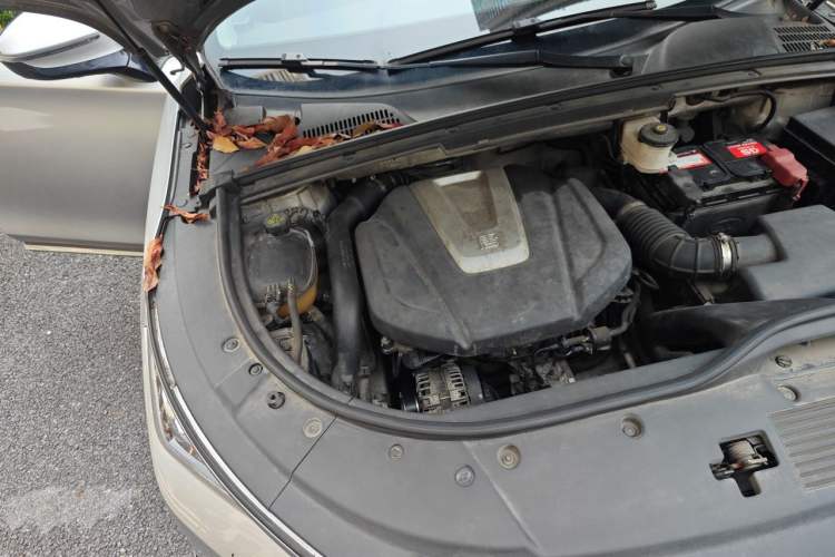 Used BYD Tang 2018 2.0T Automatic Smart Connect Prestige 5-Seater National Emission Standard V Engine Bay Right