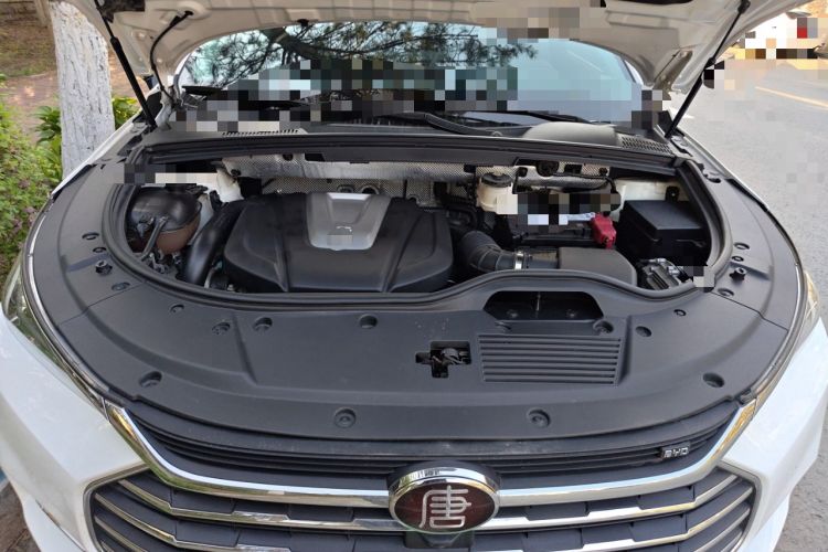 Used BYD Tang 2018 2.0T Automatic SmartConnect Luxury Edition 5 Seats China V Standard Engine Bay