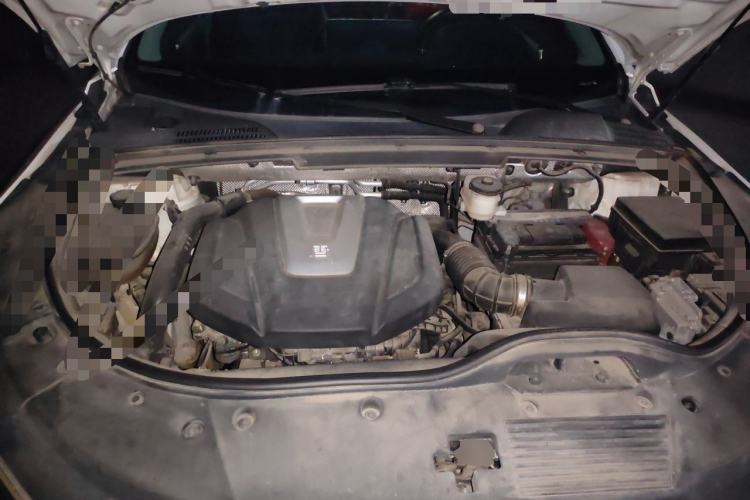Used BYD Tang 2018 2.0T Automatic SmartConnect Prestige 7-Seater China V Standard Engine Bay