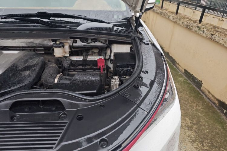 Used BYD Tang 2018 2.0T Automatic Smart Connect Prestige 7-Seater China V Standard Engine Bay Left