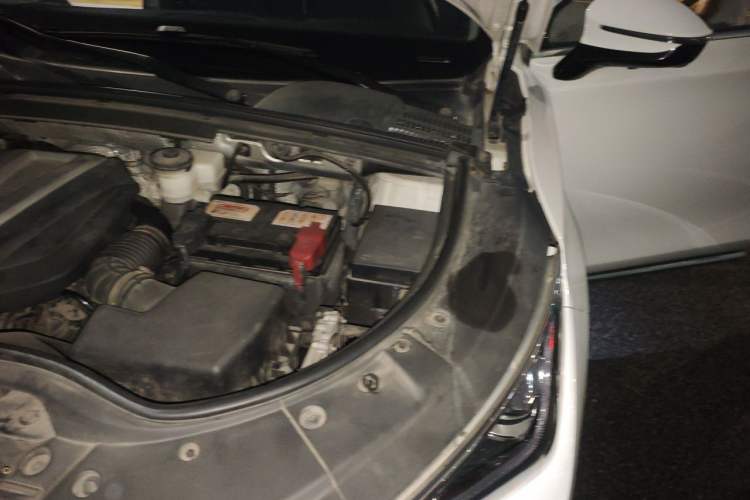 Used BYD Tang 2018 2.0T Automatic SmartConnect Prestige 7-Seater China V Standard Engine Bay Left