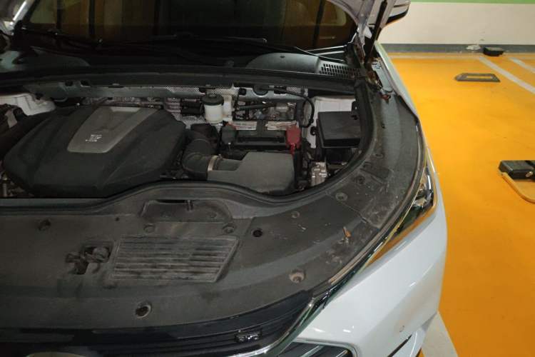 Used BYD Tang 2018 2.0T Automatic SmartConnect Prestige 7-Seater China V Standard Engine Bay Left