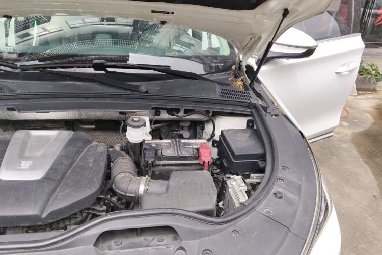 Used BYD Tang 2018 2.0T Automatic Smart Connect Prestige 7-Seater China V Standard Engine Bay Left