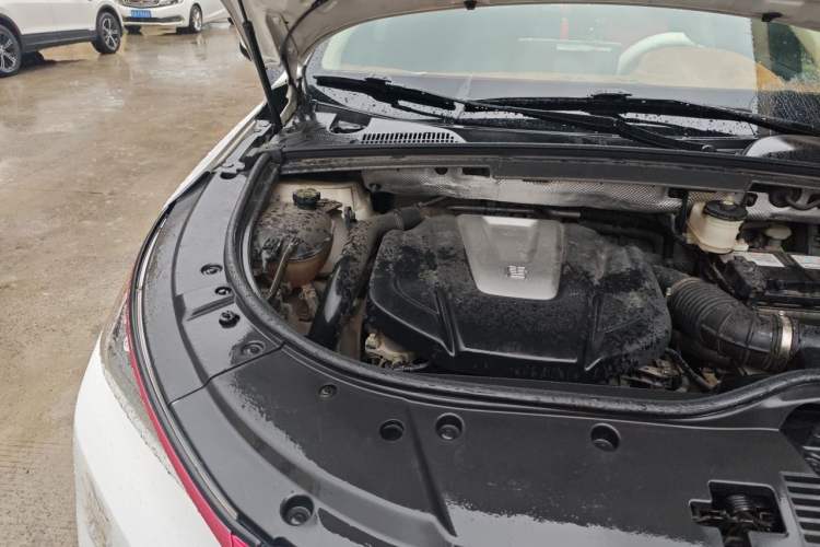 Used BYD Tang 2018 2.0T Automatic Smart Connect Prestige 7-Seater China V Standard Engine Bay Right
