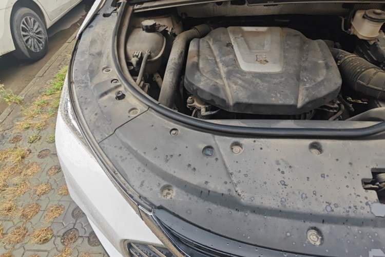 Used BYD Tang 2018 2.0T Automatic SmartConnect Prestige 7-Seater China V Standard Engine Bay Right
