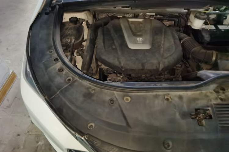 Used BYD Tang 2018 2.0T Automatic Smart Connect Prestige 7-Seater China V Standard Engine Bay Right