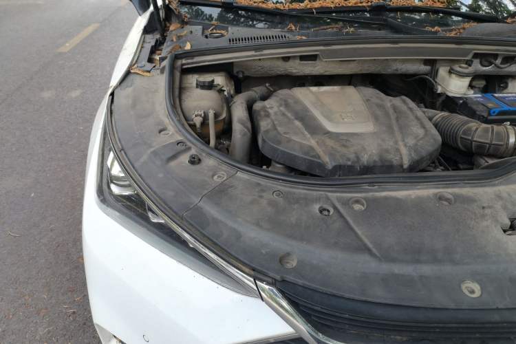 Used BYD Tang 2018 2.0T Automatic SmartConnect Luxury 7-Seater China V Emission Standard Engine Bay Right