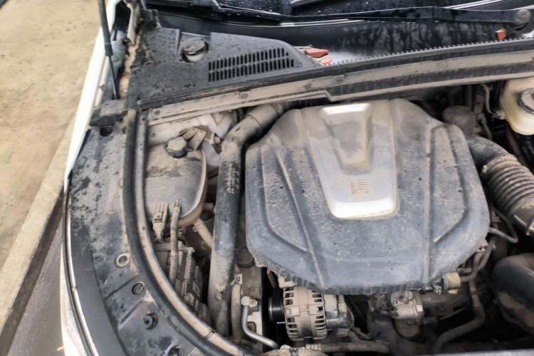 Used BYD Tang 2018 2.0T Automatic SmartConnect Prestige 7-Seater China V Standard Engine Bay Right