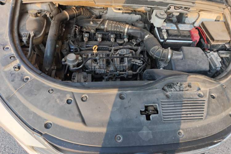 Used BYD Tang 2018 2.0T Automatic SmartConnect Prestige 7-Seater China V Standard Engine Bay