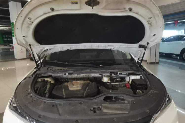 Used BYD Tang 2018 2.0T Automatic SmartConnect Prestige 7-Seater China V Standard Engine Bay
