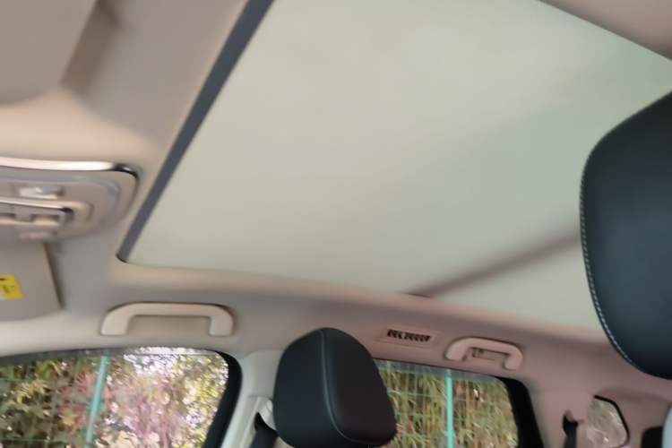 Used BYD Tang 2018 2.0T Automatic SmartConnect Prestige 7-Seater China V Standard Headliner