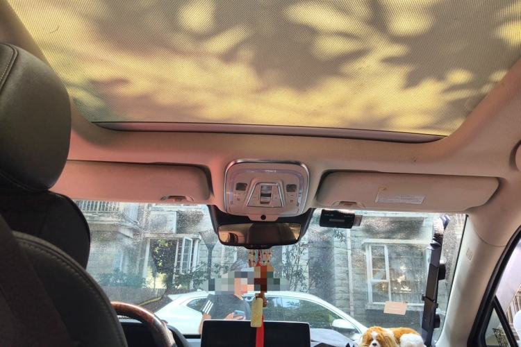 Used BYD Tang 2018 2.0T Automatic SmartConnect Prestige 7-Seater China V Standard Headliner
