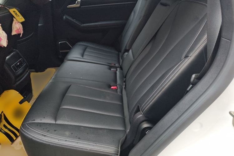 Used BYD Tang 2018 2.0T Automatic Smart Connect Prestige 7-Seater China V Standard Left Rear Seat