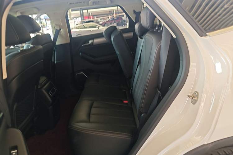 Used BYD Tang 2018 2.0T Automatic SmartConnect Prestige 7-Seater China V Standard Left Rear Seat