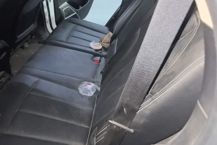 Used BYD Tang 2018 2.0T Automatic SmartConnect Prestige 7-Seater China V Standard Left Rear Seat