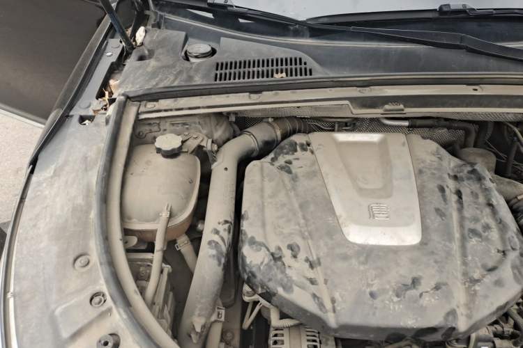 Used BYD Tang 2019 2.0T Automatic SmartConnect Prestige 7-Seater China VI Standard Engine Bay Right