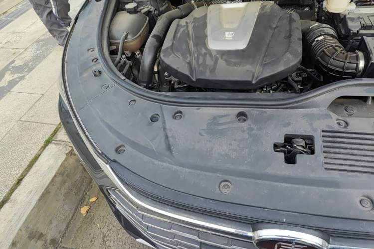 Used BYD Tang 2019 2.0T Automatic SmartConnect Prestige 7-Seater China VI Standard Engine Bay Right