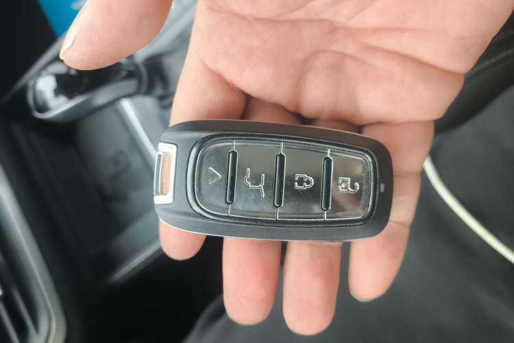 Used BYD Tang 2019 2.0T Automatic SmartConnect Prestige 7-Seater China VI Standard Interior 1