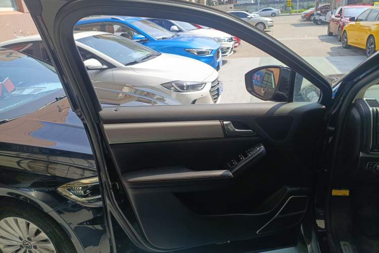 Used BYD Tang 2019 2.0T Automatic SmartConnect Prestige 7-Seater China VI Standard Left Front Door Interior