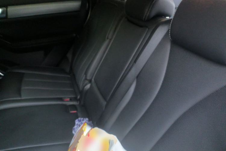 Used BYD Tang 2019 2.0T Automatic SmartConnect Prestige 7-Seater China VI Standard Left Rear Seat