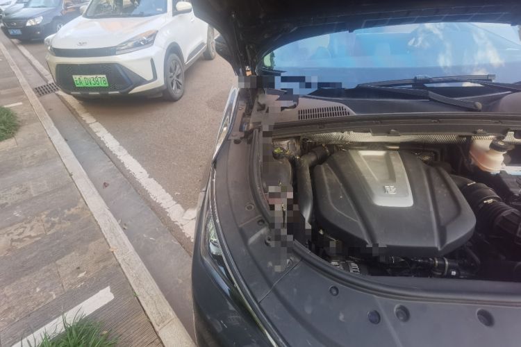 Used BYD Tang 2019 2.0T Automatic SmartConnect Prestige 7-Seater China VI Standard Engine Bay Right