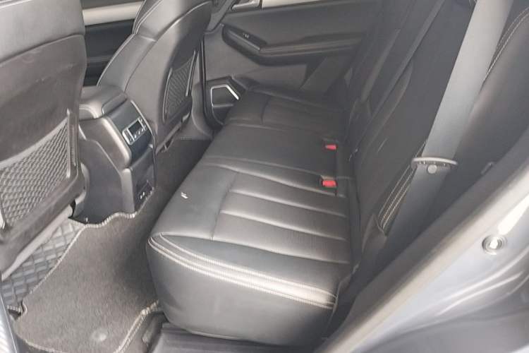 Used BYD Tang 2019 2.0T Automatic SmartConnect Luxury 7-Seater China VI Standard Left Rear Seat
