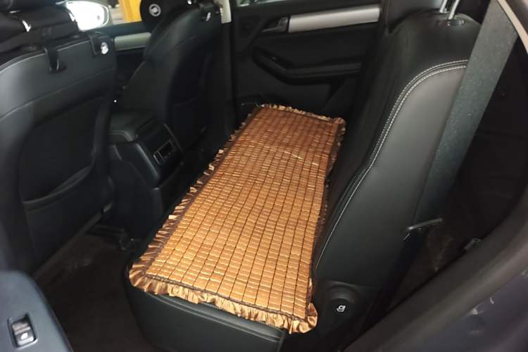 Used BYD Tang 2019 2.0T Automatic SmartConnect Prestige 7-Seater China VI Standard Left Rear Seat