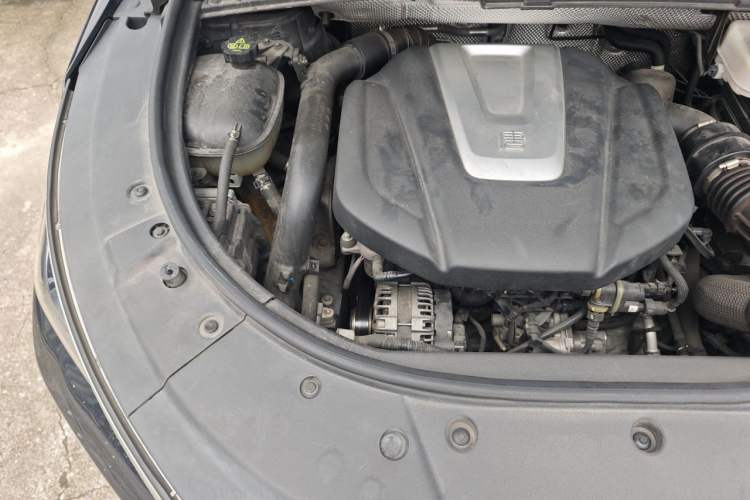 Used BYD Tang 2019 2.0T Automatic SmartConnect Luxury Edition 7 Seats China VI Standard Engine Bay Right