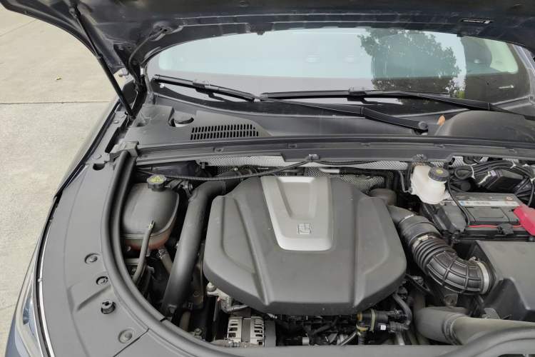 Used BYD Tang 2019 2.0T Automatic SmartConnect Prestige 7-Seater China VI Standard Engine Bay Right