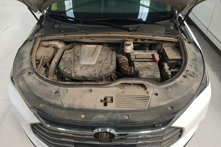 Used BYD Tang 2019 2.0T Automatic SmartConnect Prestige 7-Seater China VI Standard Engine Bay