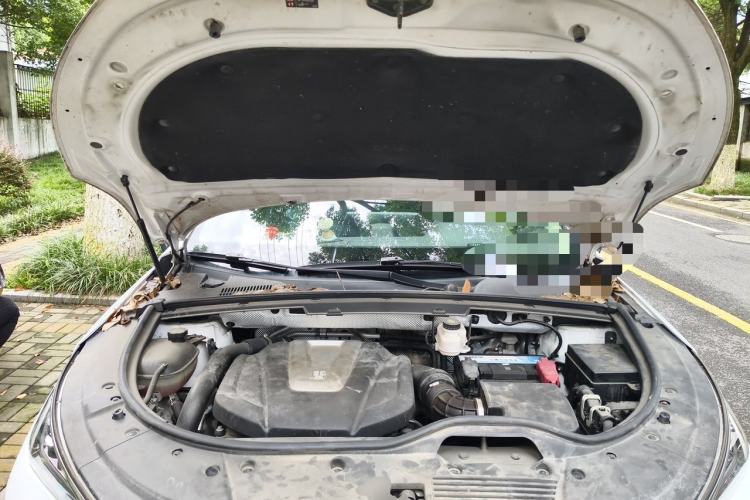 Used BYD Tang 2019 2.0T Automatic SmartConnect Luxury 7-Seater China VI Standard Engine Bay