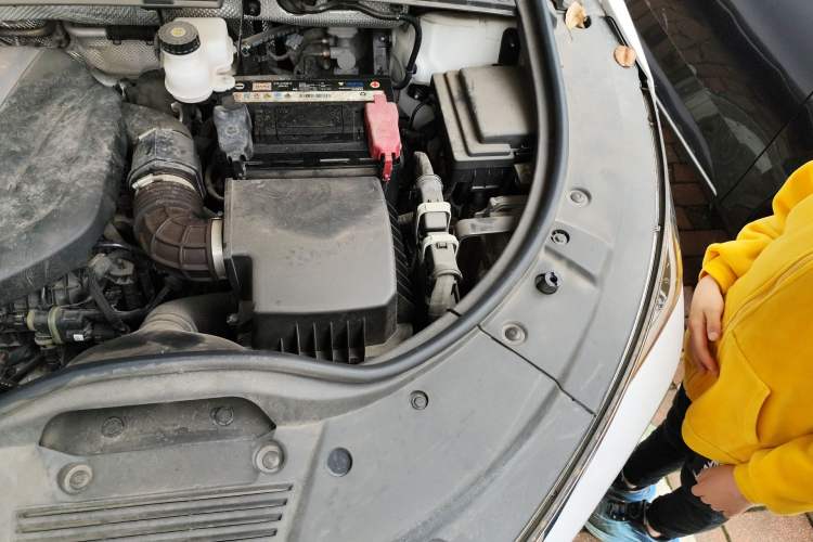 Used BYD Tang 2019 2.0T Automatic SmartConnect Luxury 7-Seater China VI Standard Engine Bay Left