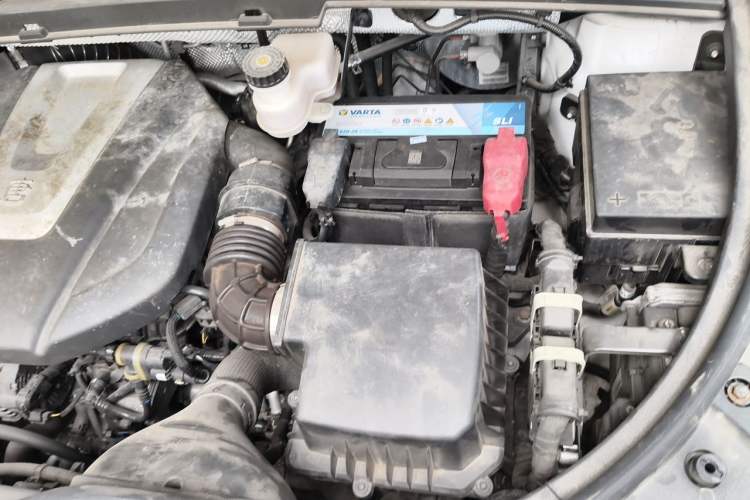 Used BYD Tang 2019 2.0T Automatic SmartConnect Luxury 7-Seater China VI Standard Engine Bay Left