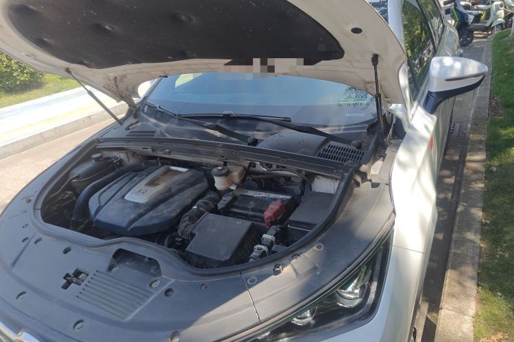 Used BYD Tang 2019 2.0T Automatic SmartConnect Prestige 5-Seater China VI Standard Engine Bay Left